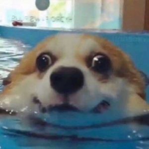 Meet your Posher, Isabela